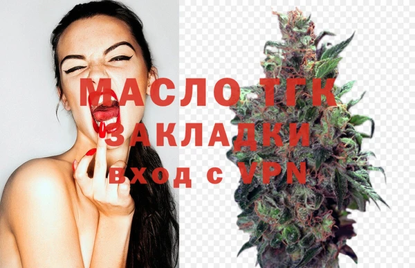 тгк Ветлуга