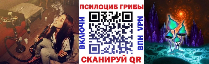 наркота  Северобайкальск  Псилоцибиновые грибы прущие грибы 